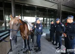 里尔训练开放日，转会期再遭质疑引欢呼，社区盾在即，数据趋势出现新变化(李盛学1~28题的答案)